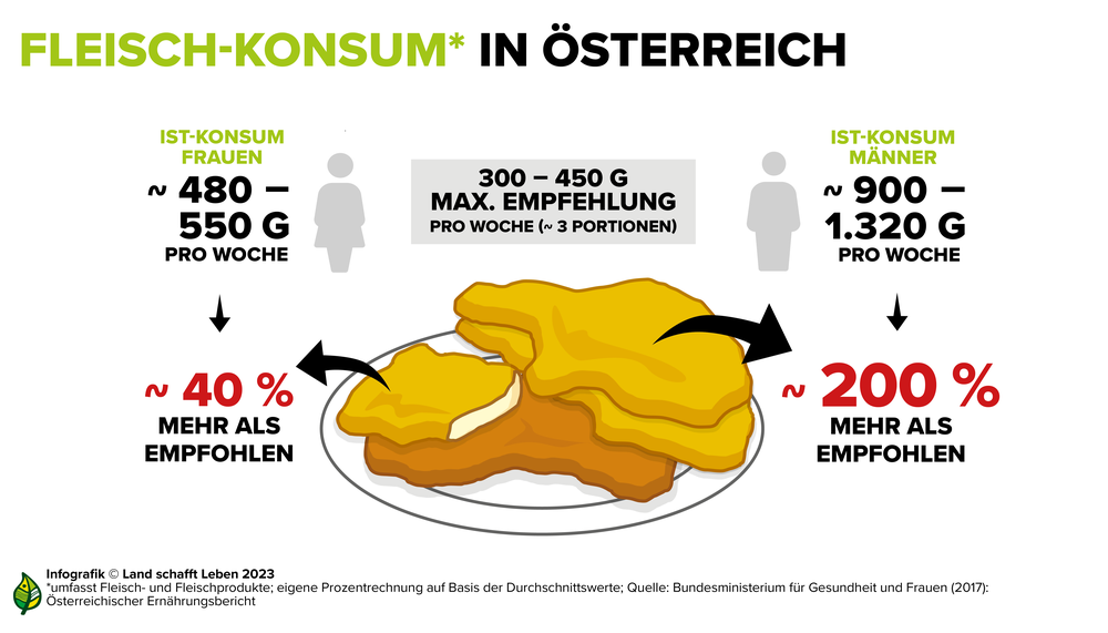 Infografik zu Fleinschkonsum in Österreich | © Land schafft Leben