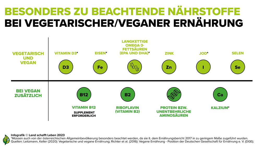 Infografik zu zu beachtenden Nährstoffen bei vegetarischer/veganer Ernährung | © Land schafft Leben