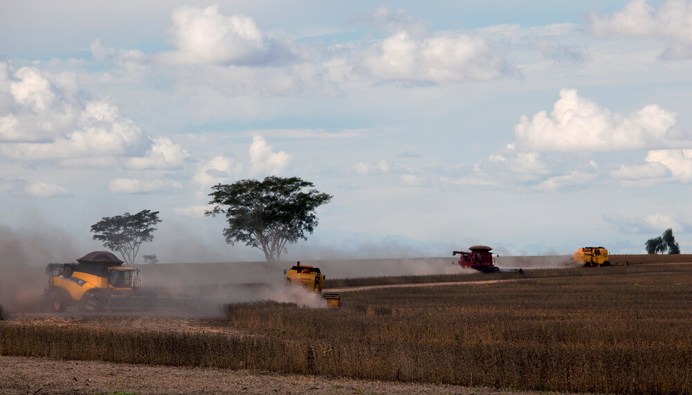 © Greenpeace / Werner Rudhart