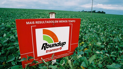 "Roundup"-Schild in grünem Feld | © Greenpeace / Rodrigo Baléia