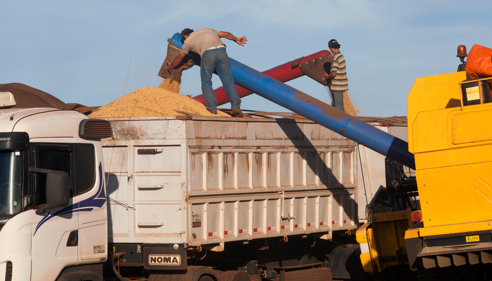 Arbeiter verteilen Saatgut auf Lastwagen | © Greenpeace / Werner Rudhart