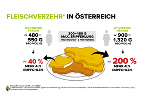 Infografik zum Thema Fleischverzehr | © Land schafft Leben