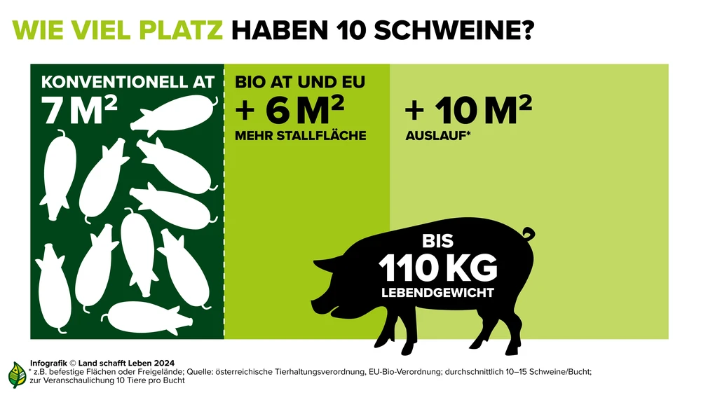 Infografik-Bio-Konventionell-Tierplatz-Schwein-c-Land-schafft-Leben-2024.webp