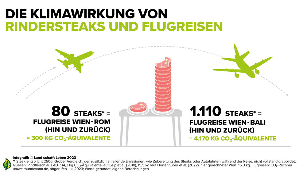 Infografik Landwirtschaft, Ernährung, Klima | © Land schafft Leben