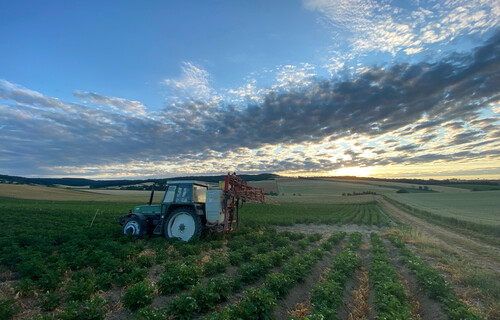 Traktor fährt über Feld während Dämmerung | © Timo Küntzle, Land schafft Leben