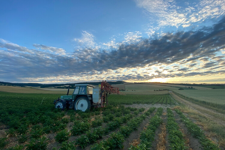 Traktor fährt über Feld während Dämmerung | © Timo Küntzle, Land schafft Leben