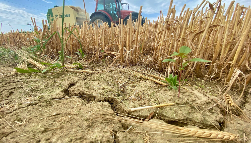 Traktor auf Feld | © Timo Küntzle, Land schafft Leben