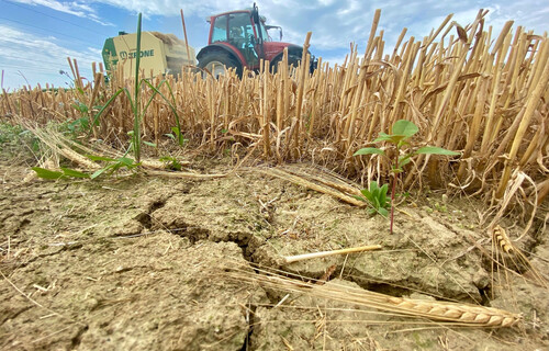 Traktor auf Feld | © Timo Küntzle, Land schafft Leben