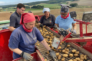 Vier Personen bei der Kartoffelernte  | © Timo Küntzle, Land schafft Leben
