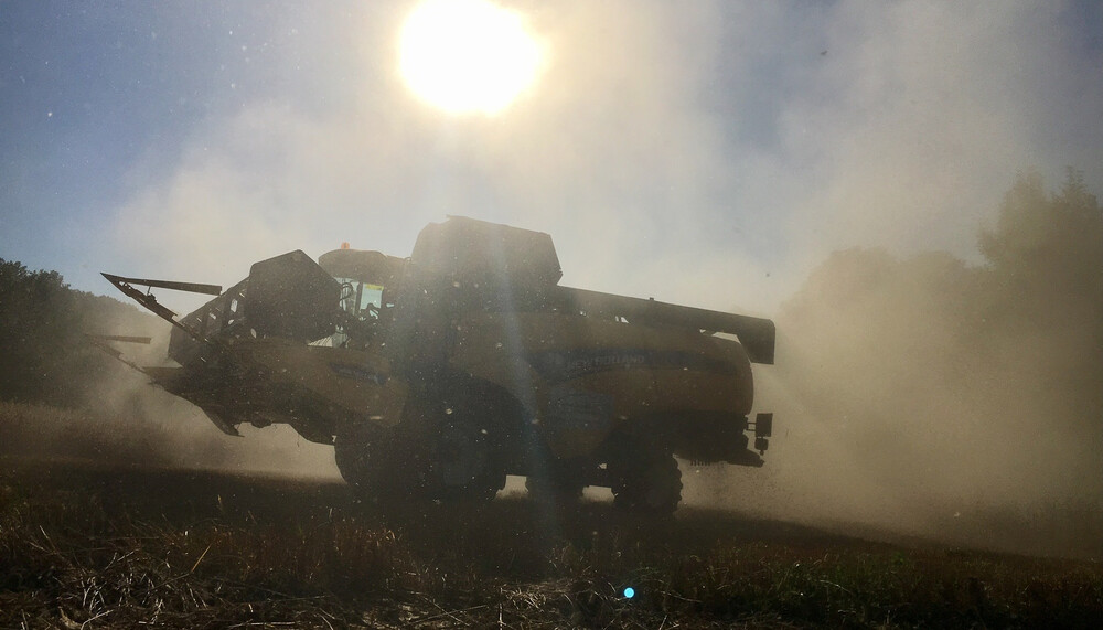 Sonne scheint auf Traktor auf Feld | © Timo Küntzle, Land schafft Leben