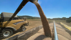 Feldmaschine bei Getreideernte | © Timo Küntzle, Land schafft Leben