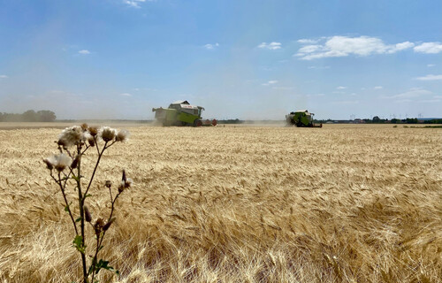 Gerstenfeld mit Feldmaschinen | © Timo Küntzle, Land schafft Leben