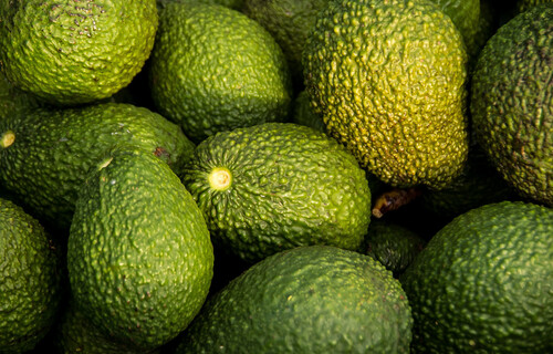 Grüne Avocados | © Land schafft Leben