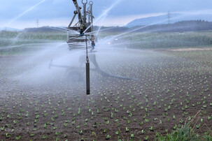 Traktor auf Feld am Bewässern | © Land schafft Leben