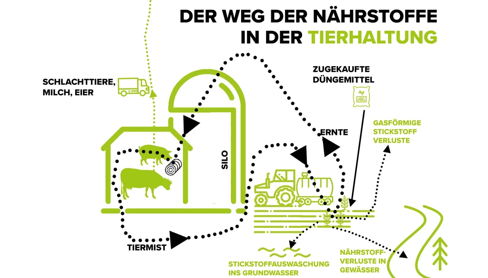 Nhrstoffe - Boden, Dngen, Kreislufe, Sackgassen