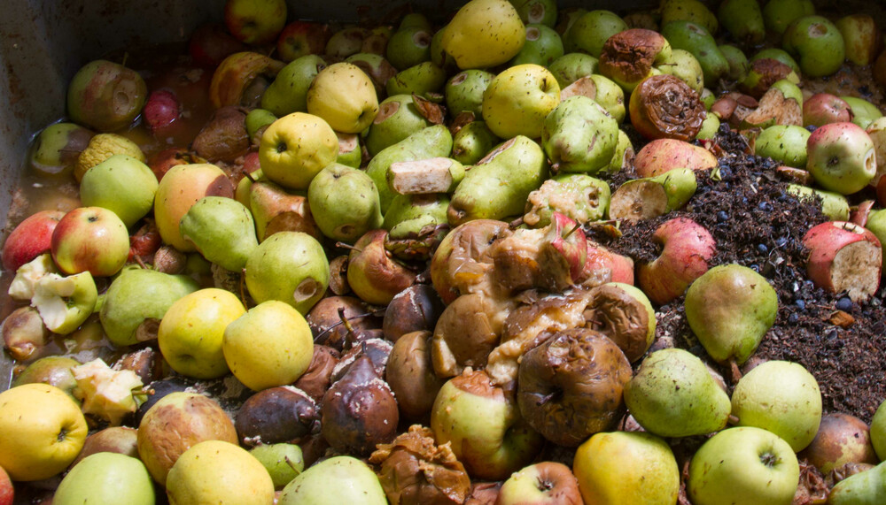 apfel ausschuss | © Land schafft Leben, 2016