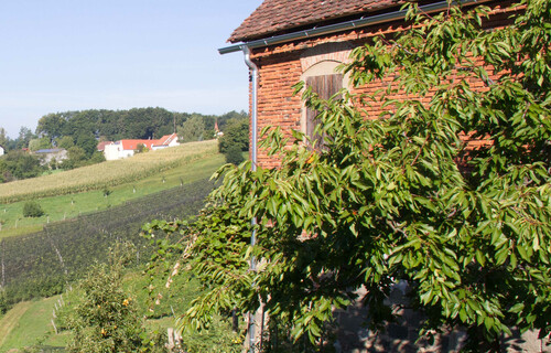 Ziegelhaus neben Feld | © Land schafft Leben