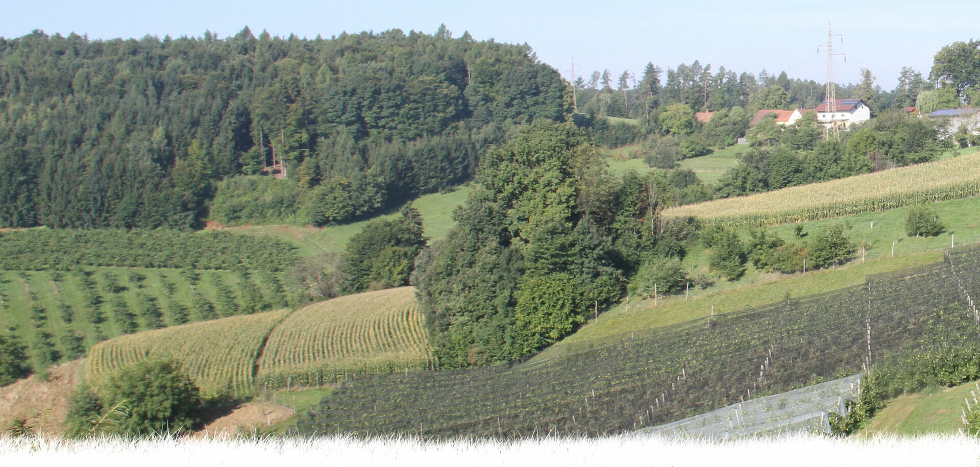 Apfel Region | © Land schafft Leben Fernsicht auf verschiedene Felder | © Land schafft Leben