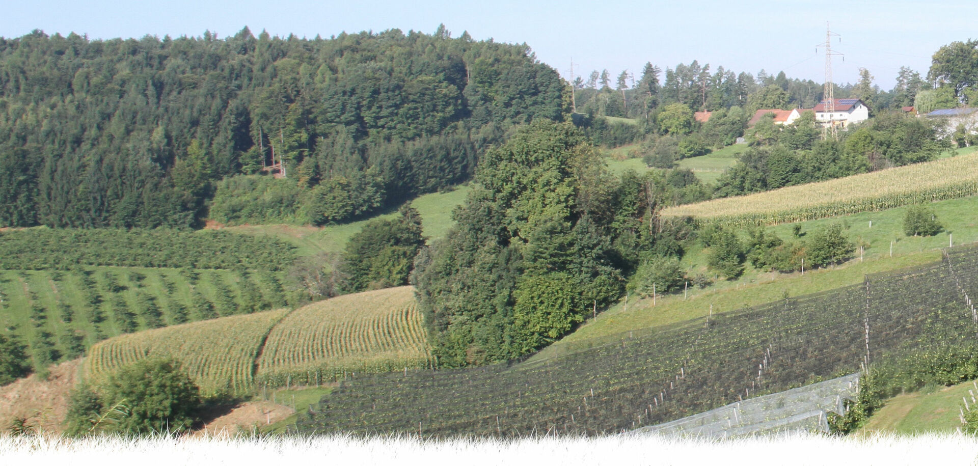 Fernsicht auf verschiedene Felder | © Land schafft Leben