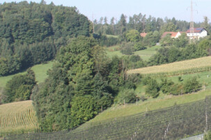 Fernsicht auf verschiedene Felder | © Land schafft Leben