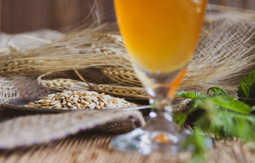 Bierglas vor Rohstoffen auf Holztisch | © Land schafft Leben