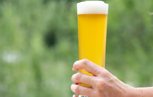 Frau hält volles Bierglas in linker Hand | © Land schafft Leben