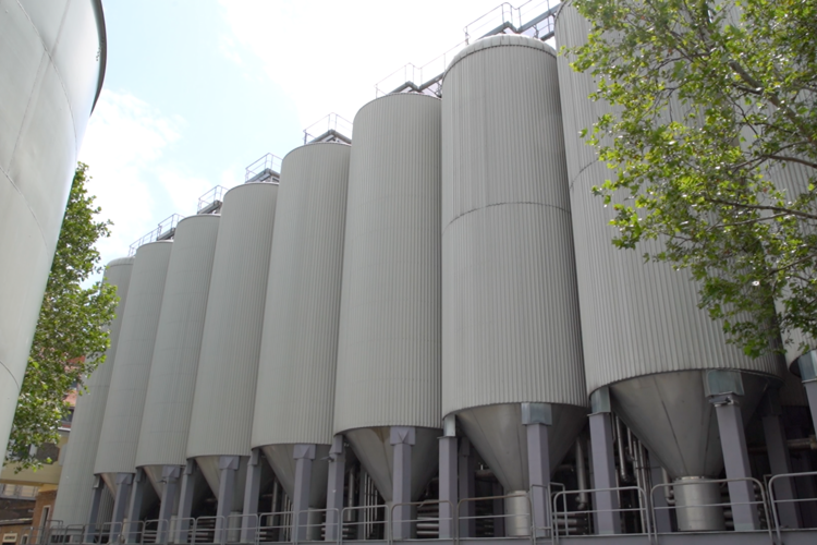 Mehrere große weiße Biertanks nebeneinander | © Land schafft Leben