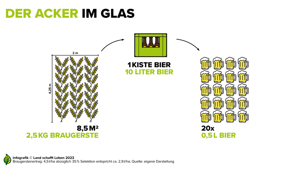 Infografik zu Gerste im Bier | © Land schafft Leben