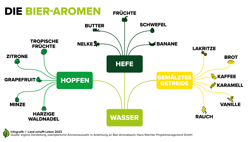 Infografik zu den verschiedenen Aromen von Bier | © Land schafft Leben