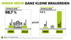 Infografik zu den Unterschieden zwischen kleinen und großen Brauereien in Österreich | © Land schafft Leben