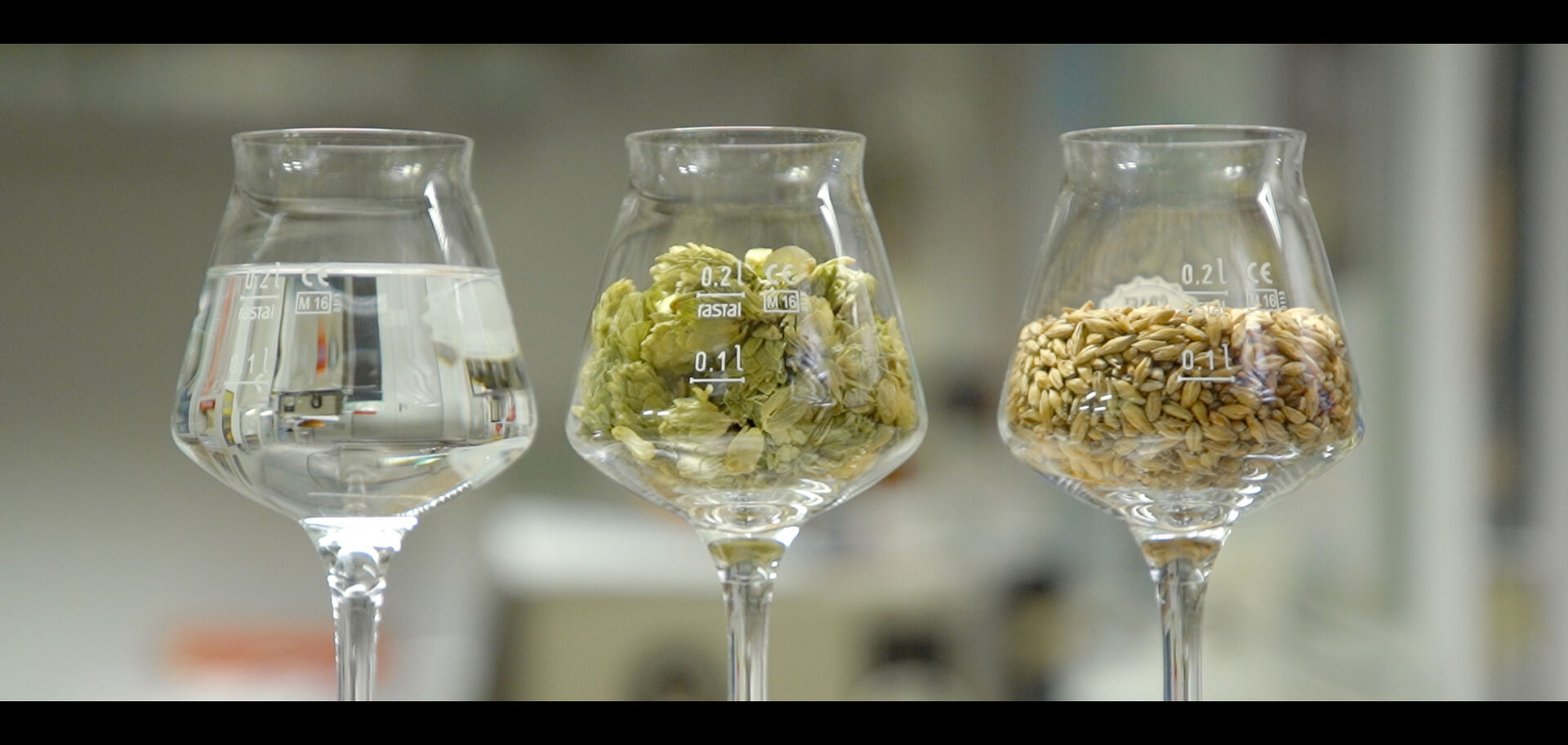 Ein Glas mit Wasser, ein Glas mit Hopfen und ein Glas mit Gerste | © Land schafft Leben