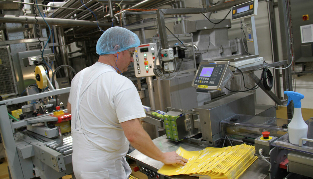 Arbeiter mit Haarnetz in Molkerei | © Land schafft Leben