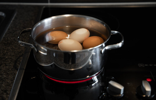 eier kochen | © Land schafft Leben, 2019 eier kochen | © Land schafft Leben, 2019