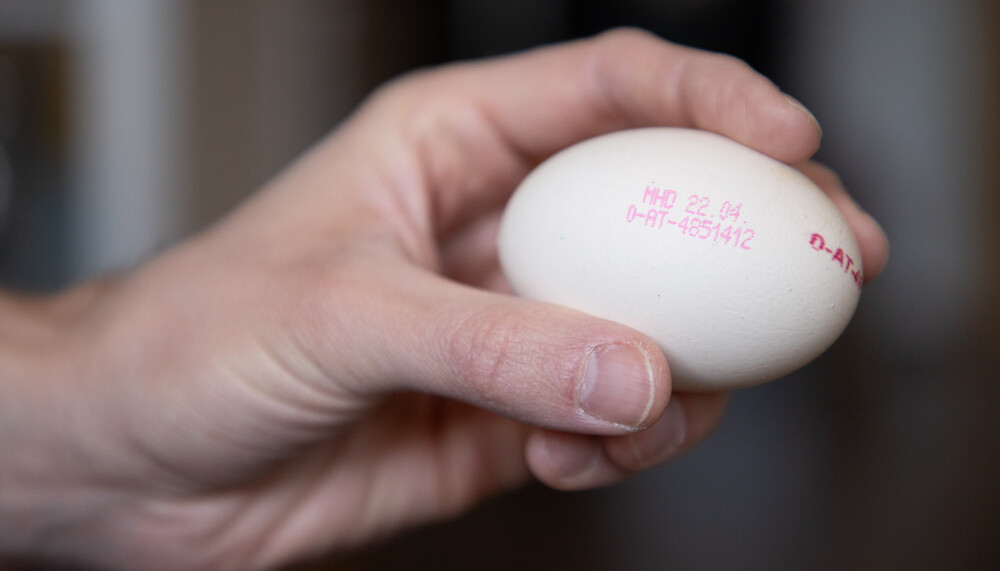 Eier Haltbarkeit | © Land schafft Leben, 2019