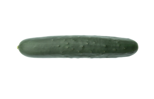 gurke | © Land schafft Leben, 2018 gurke | © Land schafft Leben, 2018