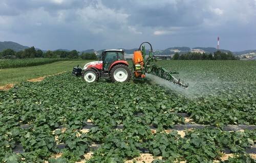 gurke pflanzenschutz | © Land schafft Leben, 2018 gurke pflanzenschutz | © Land schafft Leben, 2018