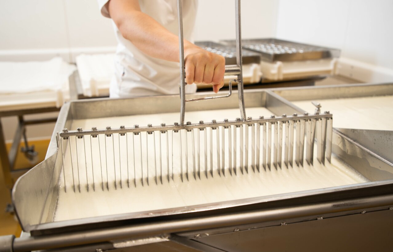 Kennzeichnung | Käse | Land schafft Leben