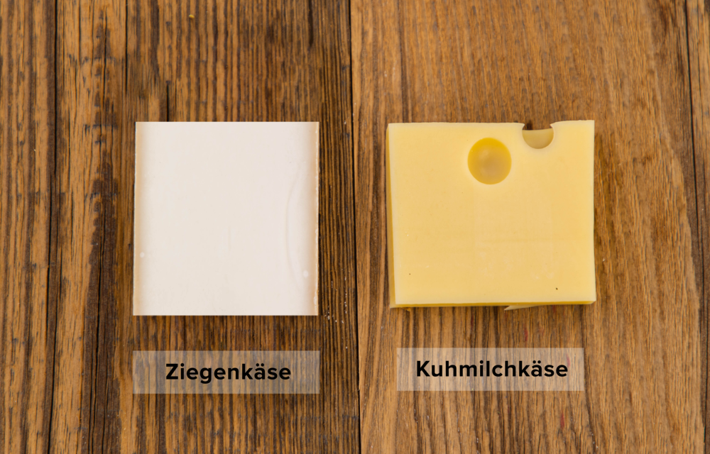 Sensorik | Käse | Land schafft Leben
