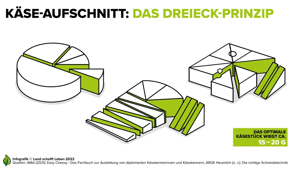 schabracken aufbewahren Schabrackenhalter marine/burgund Größe:39 BoxLegend Kleiderschrank-Organizer für T-Shirts Unreine Haut