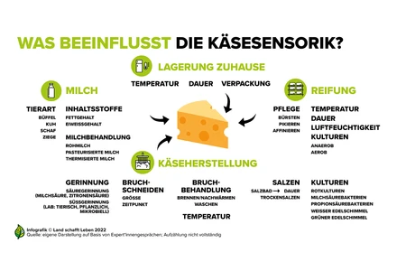 Infografiken zu Käse | Land schafft Leben