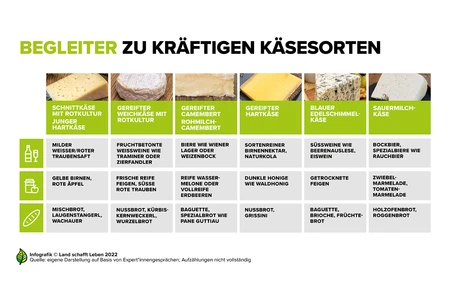 Infografiken zu Käse | Land schafft Leben