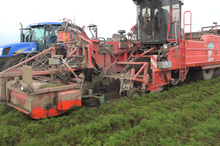 Zwei Geräte bei der Karottenernte auf Feld | © Land schafft Leben