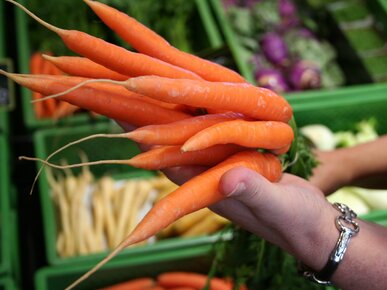 Hand mit Kettchen hält Bündel Bio-Karotten | © Land schafft Leben