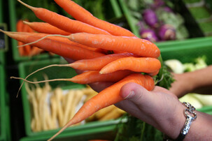 Hand mit Kettchen hält Bündel Bio-Karotten | © Land schafft Leben