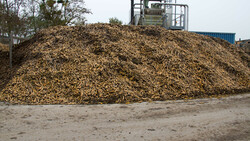 Riesiger Haufen Karotten | © Land schafft Leben