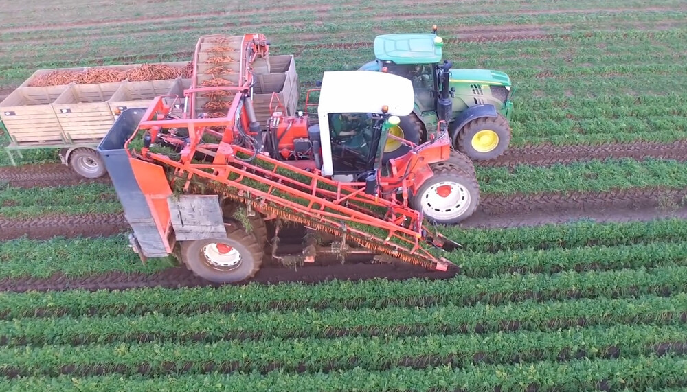 Zwei Traktoren ernten Karotten auf Feld | © Land schafft Leben