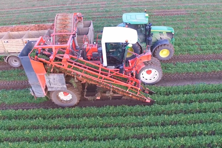 Zwei Traktoren ernten Karotten auf Feld | © Land schafft Leben