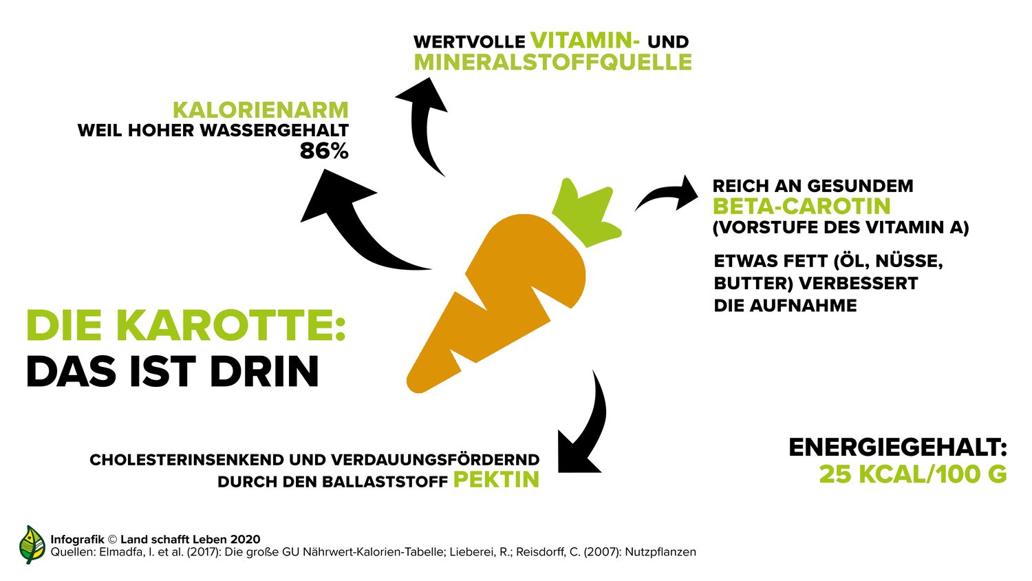Die Karotte Gesundheit Land schafft Leben