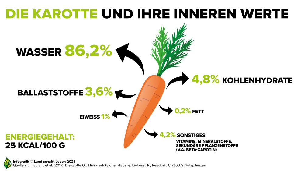Infografik zu den Inhaltsstoffen der Karotte | © Land schafft Leben