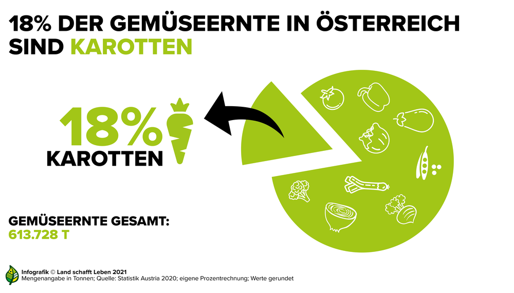 Infografik zu 18 Prozent Gemüseernte-Anteil von Karotten in Österreich | © Land schafft Leben